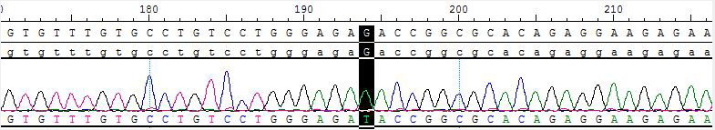 CBP10209.png