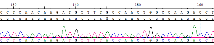 CBP10168.png