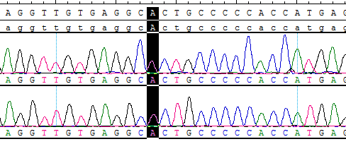 CBP10143.png