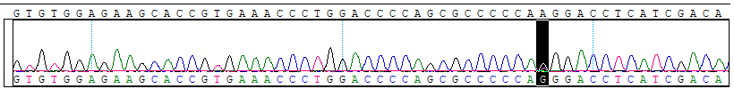 CBPA0037-2.png