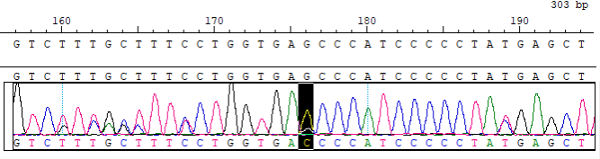 CBPA0045-2.png