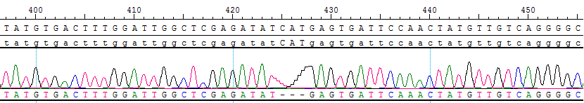 CBP10525.png