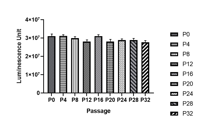 CBP30110L 新2.jpg