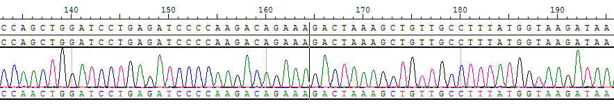 CBP20207D HAP1 BCR-ABL1 fusion DNA.png